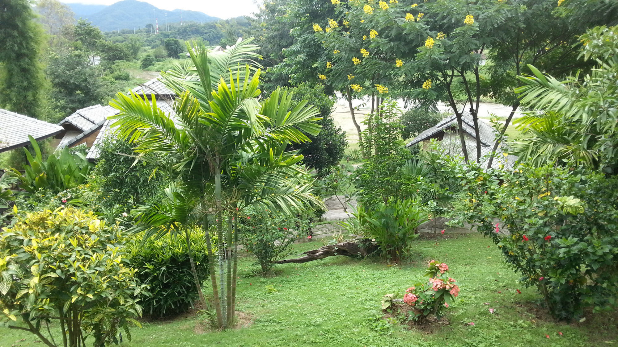 Pai Love & Baan Chonphao Resort Luaran gambar
